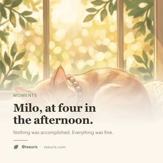 The Photo template, rendered for Reauris
